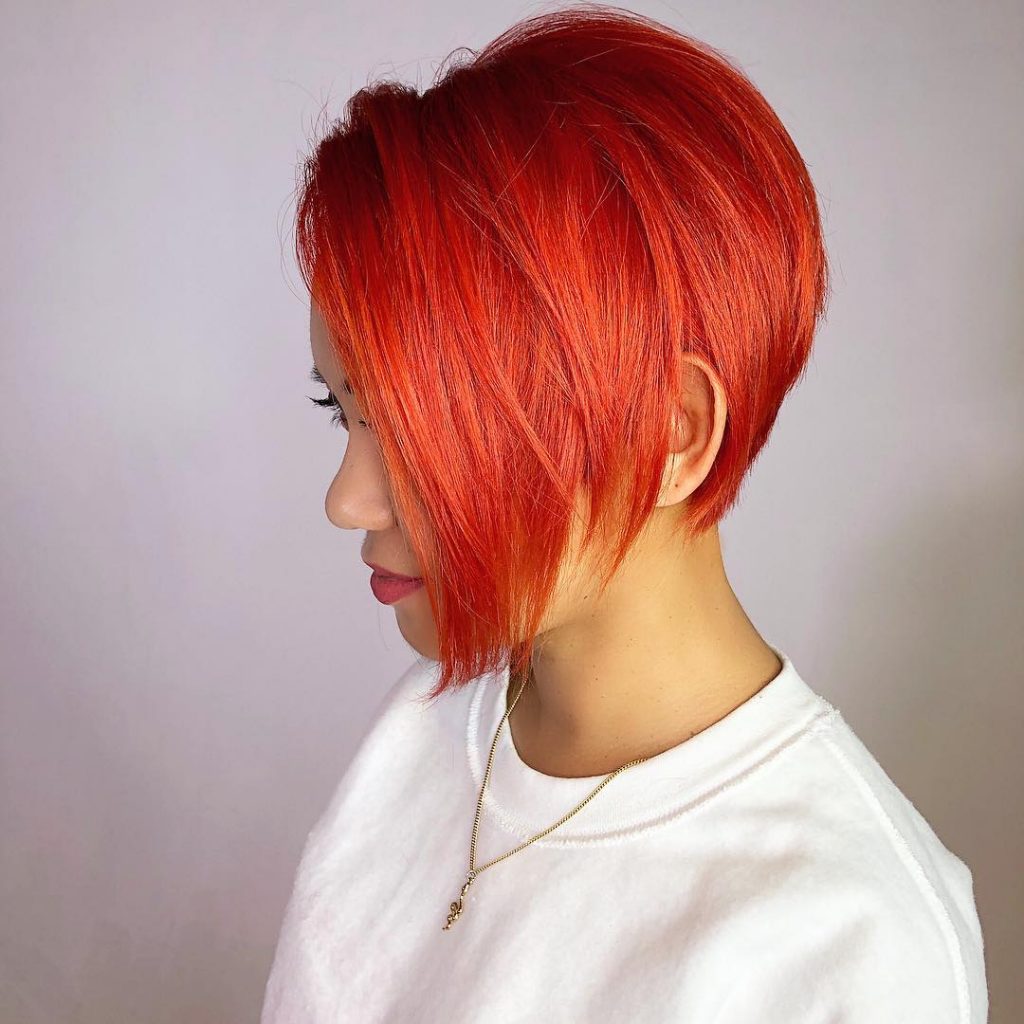 Pixie Bob Haircuts 2021-2022