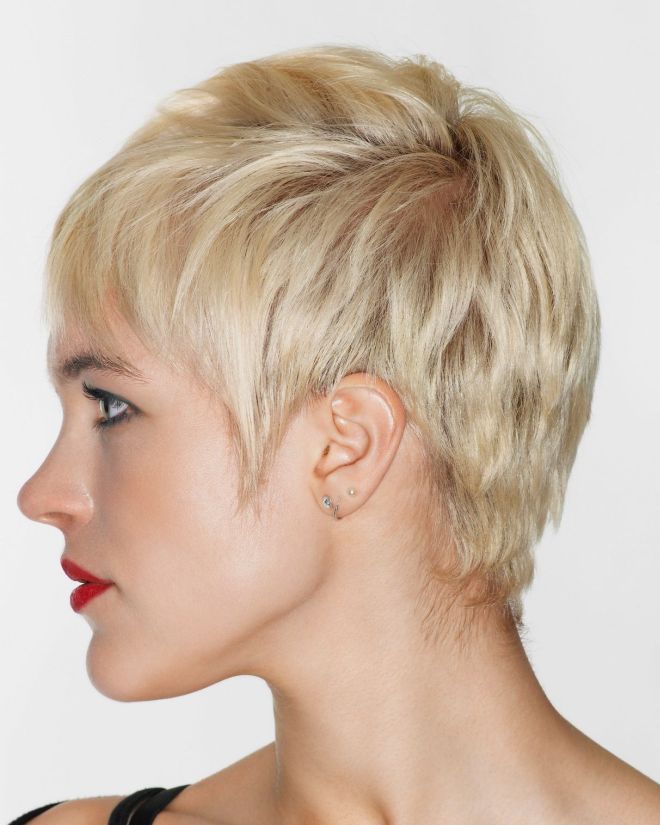 Pixie Bob Haircuts 2021-2022