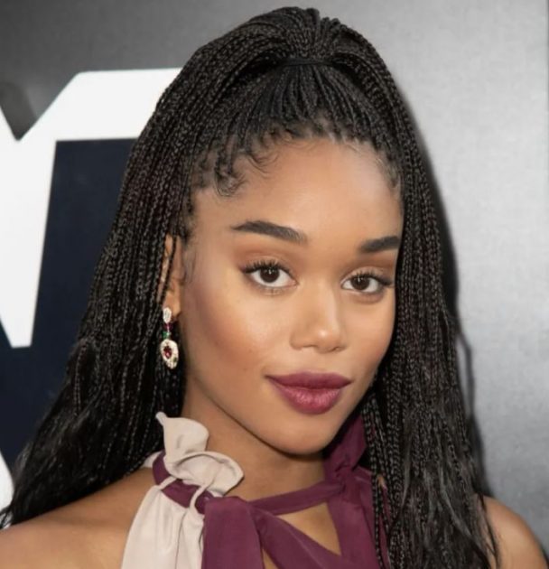 New Box Braids hairstyles to try in 20212022 New Box Braids hairstyles to try in 20212022