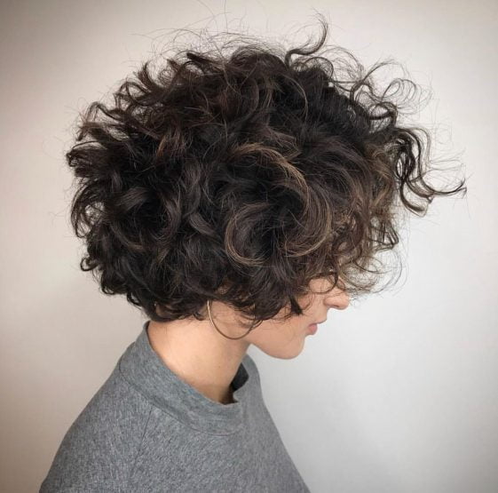 Short Curly Hair 2023 25 Easy Hairstyles for Short Curly Hair