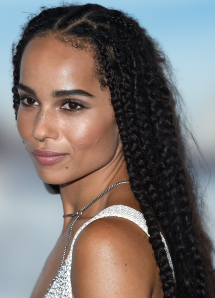 Cornrow braids 2022-2023