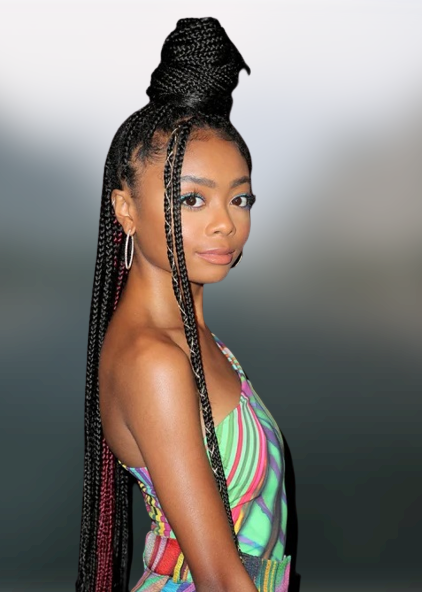 Cornrow braids 2022-2023
